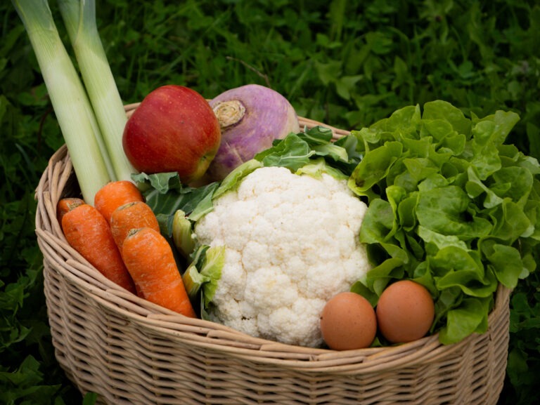 Actus et promos de la semaine